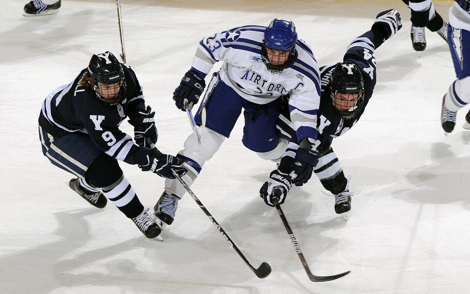 纪录追踪:本赛季多项区域纪录刷新与背景解读,赛季记录