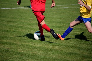 中国足球青训计划支持地方足球发展，中国足球青训政策